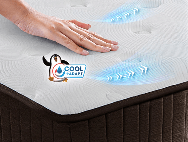 CÔNG NGHỆ LÀM MÁT COOLADAPT™