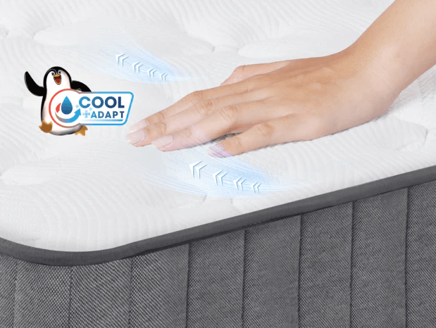 CÔNG NGHỆ LÀM MÁT COOLADAPT™