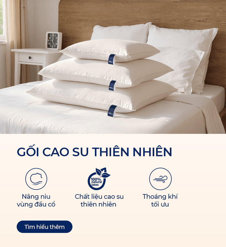 Gối cao su thiên nhiên