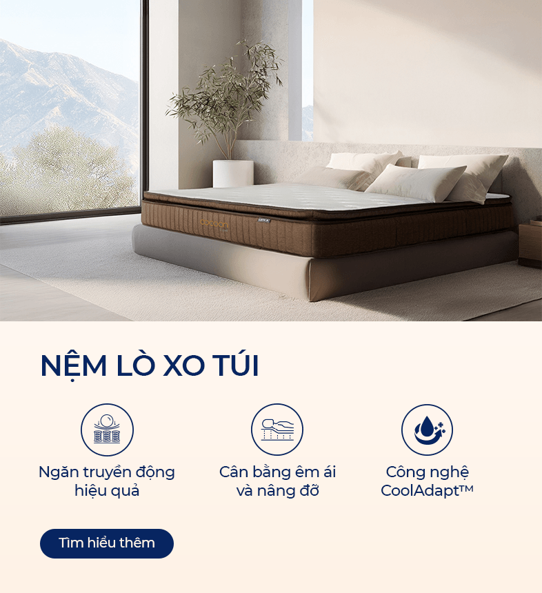 Nệm lo xo túi