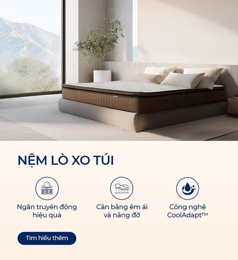 Nệm lo xo túi