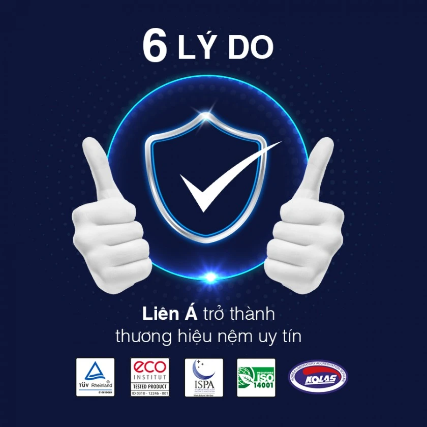 6 LÝ DO -  LIÊN Á TRỞ THÀNH THƯƠNG HIỆU NỆM UY TÍN