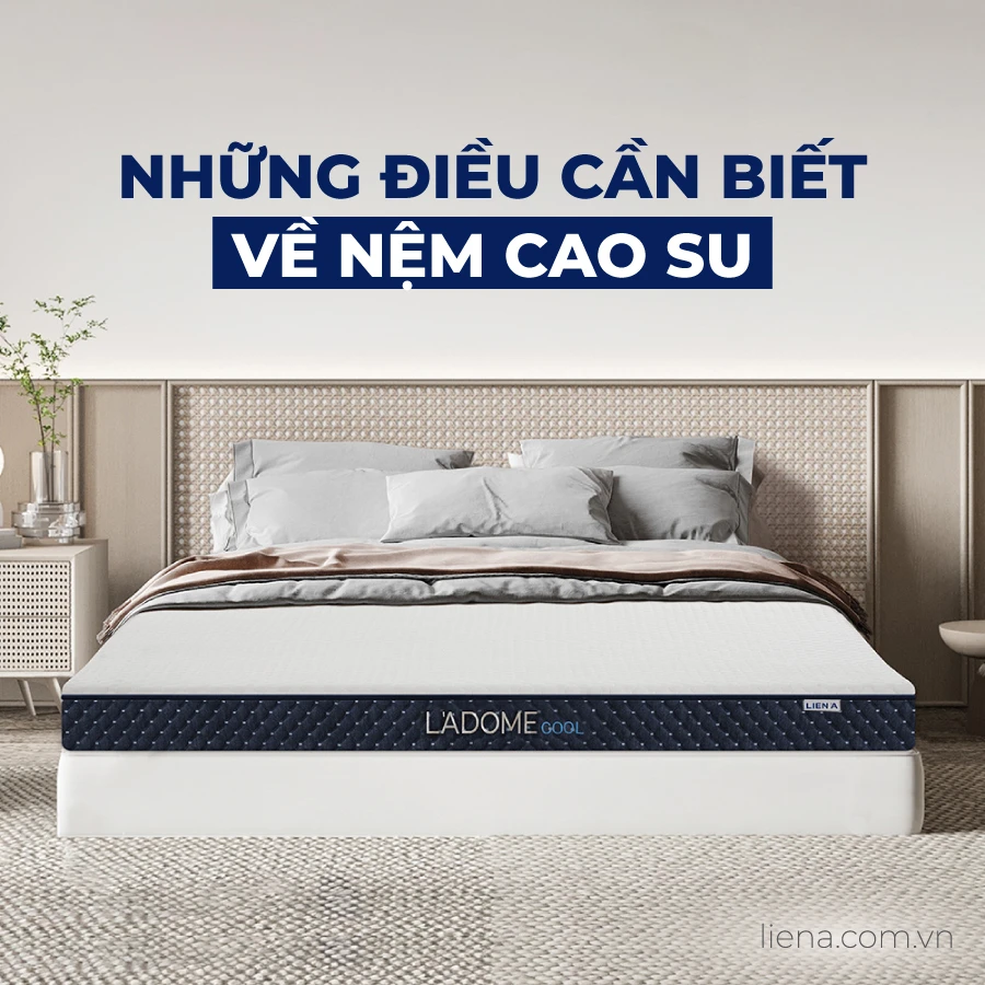 Top 8 loại nệm cao su tốt nhất hiện nay của Liên Á Top 8 loại nệm cao su tốt nhất hiện nay của Liên Á