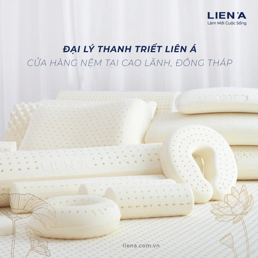 Hệ thống cửa hàng đại lý bán nệm Liên Á ở Cao Lãnh Đồng Tháp Hệ thống cửa hàng đại lý bán nệm Liên Á ở Cao Lãnh Đồng Tháp