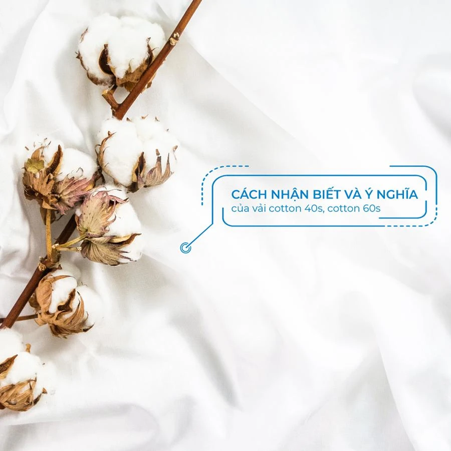 Cách Nhận Biết Và Ý Nghĩa Của Vải Cotton 40s, Cotton 60s Cách Nhận Biết Và Ý Nghĩa Của Vải Cotton 40s, Cotton 60s