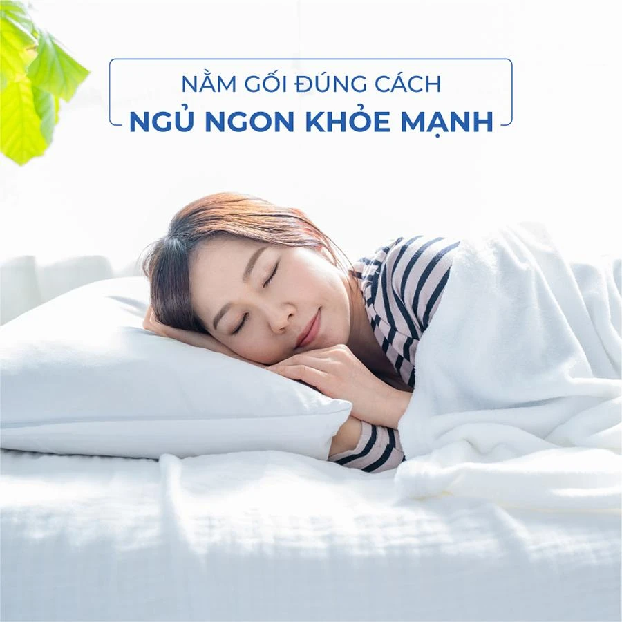 Nằm Gối Đúng Cách - Ngủ Ngon Khỏe Mạnh Nằm Gối Đúng Cách - Ngủ Ngon Khỏe Mạnh