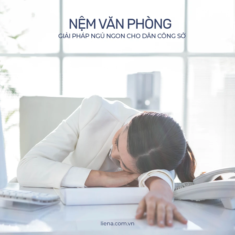 Nệm Văn Phòng Gấp Gọn - Giải Pháp Ngủ Ngon Cho Dân Công Sở Nệm Văn Phòng Gấp Gọn - Giải Pháp Ngủ Ngon Cho Dân Công Sở