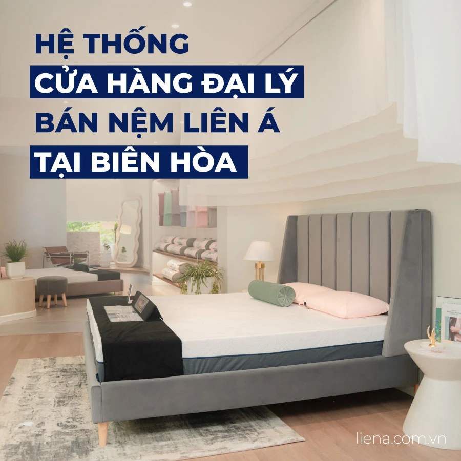Hệ thống cửa hàng đại lý bán nệm Liên Á ở Biên Hòa Hệ thống cửa hàng đại lý bán nệm Liên Á ở Biên Hòa