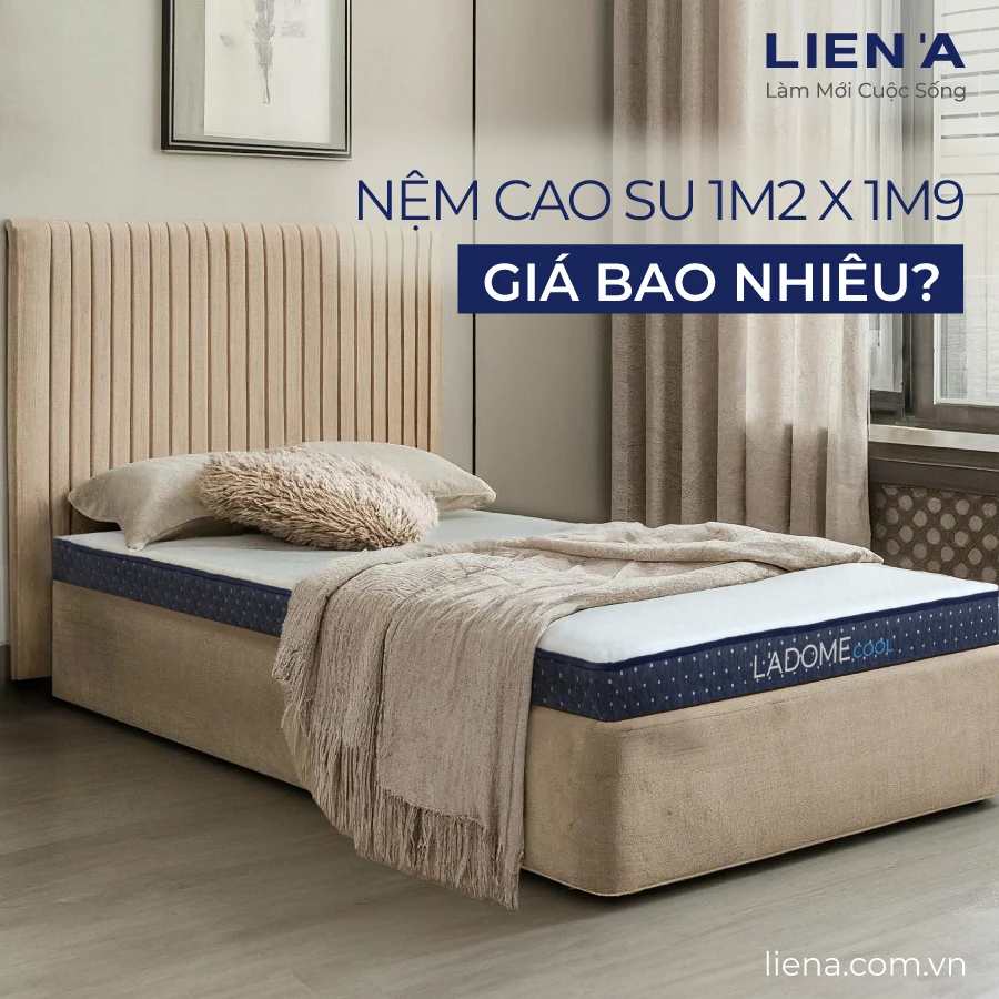 [Cập nhật 2025] Nệm cao su 1m2 x 1m9 giá bao nhiêu?