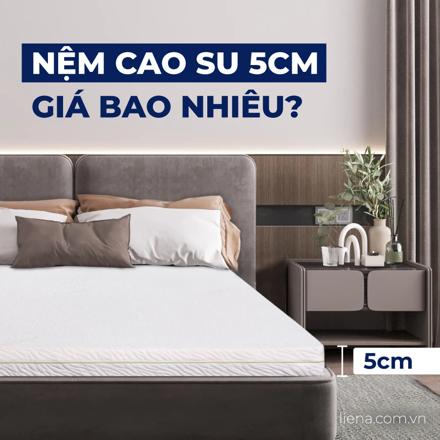 [Cập nhật 2025] Nệm cao su 5cm giá bao nhiêu?