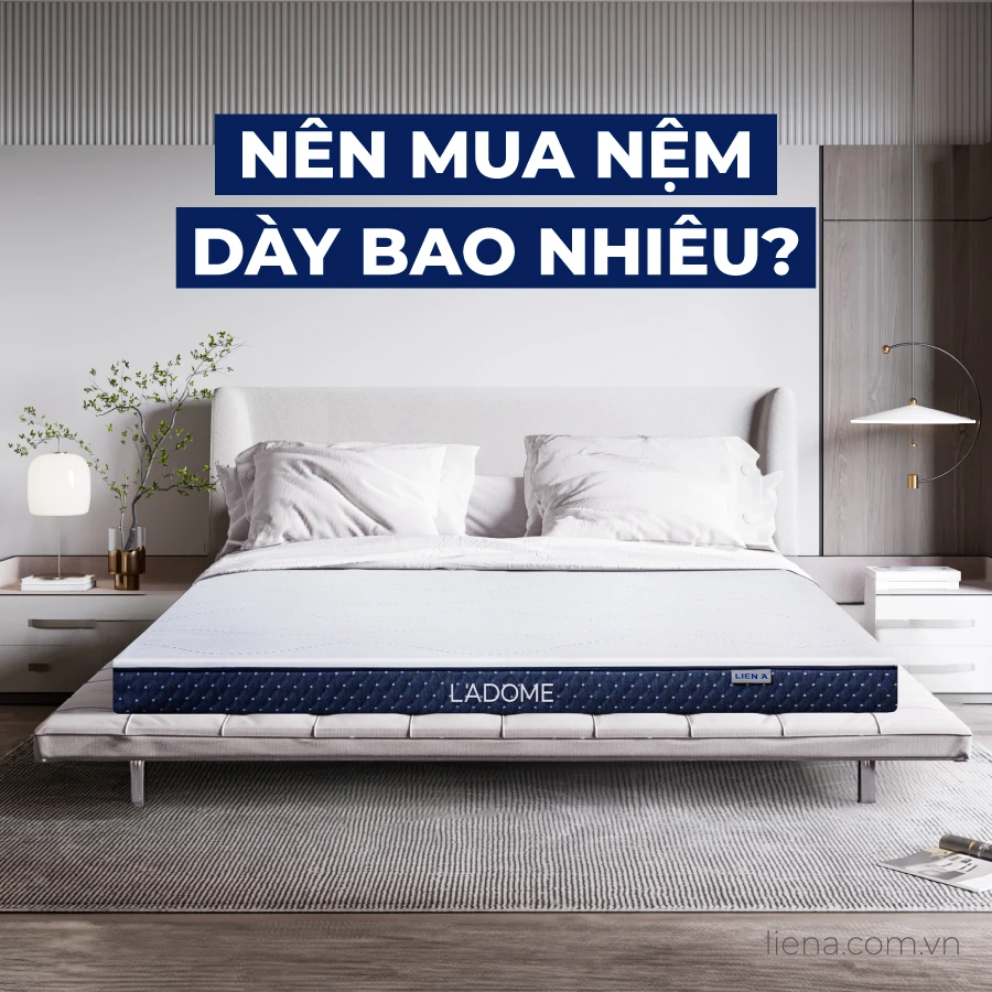 [Hỏi đáp] Nên mua nệm dày bao nhiêu thì hợp lý?