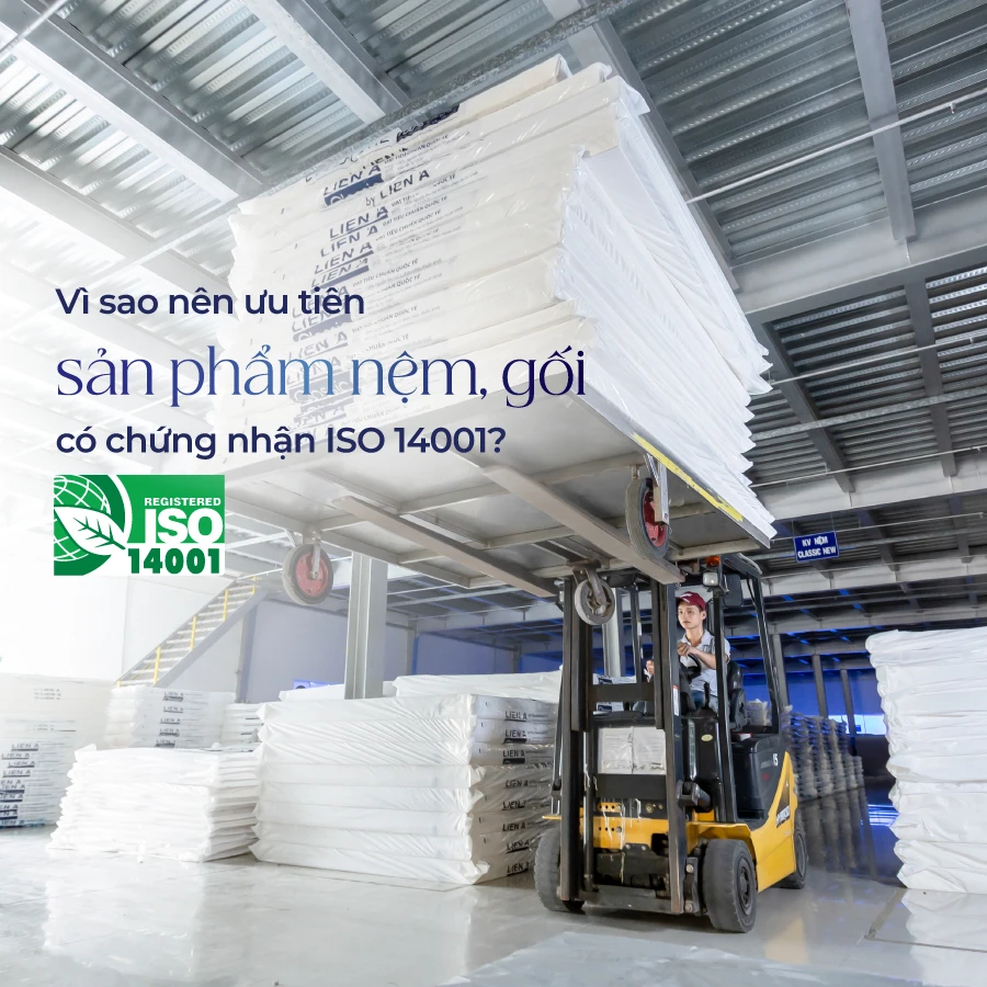 Vì sao nên ưu tiên sản phẩm nệm, gối có chứng nhận ISO 14001? Vì sao nên ưu tiên sản phẩm nệm, gối có chứng nhận ISO 14001?
