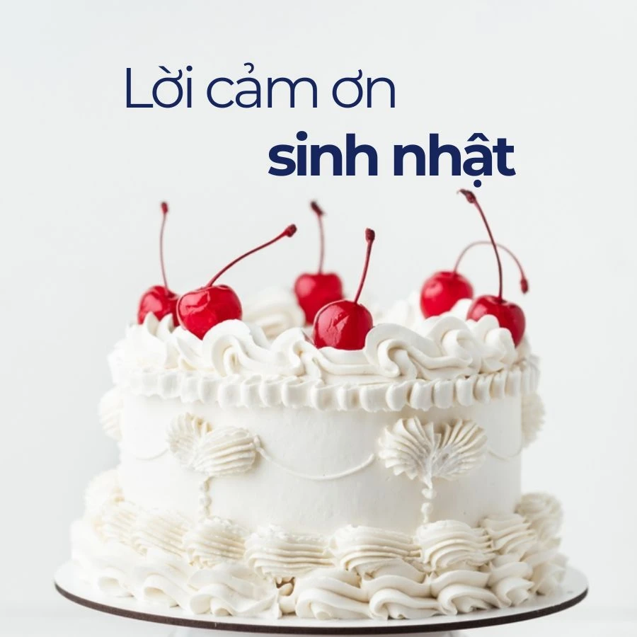 Tổng hợp 1001+ lời cảm ơn sinh nhật ngắn gọn ý nghĩa Tổng hợp 1001+ lời cảm ơn sinh nhật ngắn gọn ý nghĩa