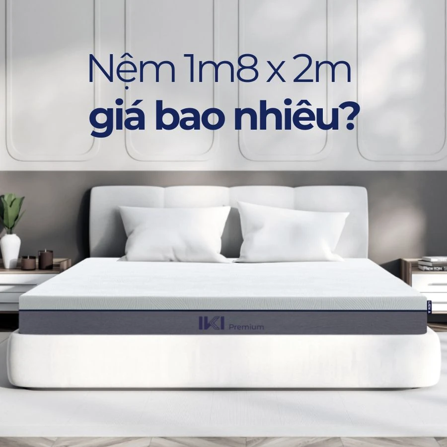 [Cập nhật 2025] Nệm 1m8 x 2m giá bao nhiêu?