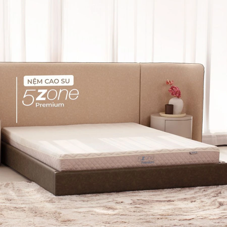 5ZONE Premium và LEGACY: Đâu là sự lựa chọn đáng để đầu tư? 5ZONE Premium và LEGACY: Đâu là sự lựa chọn đáng để đầu tư?