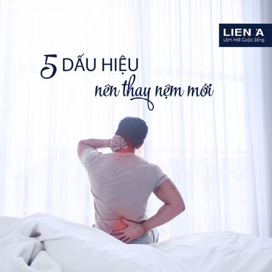 5 DẤU HIỆU KHI NÀO NÊN THAY NỆM MỚI 5 DẤU HIỆU KHI NÀO NÊN THAY NỆM MỚI
