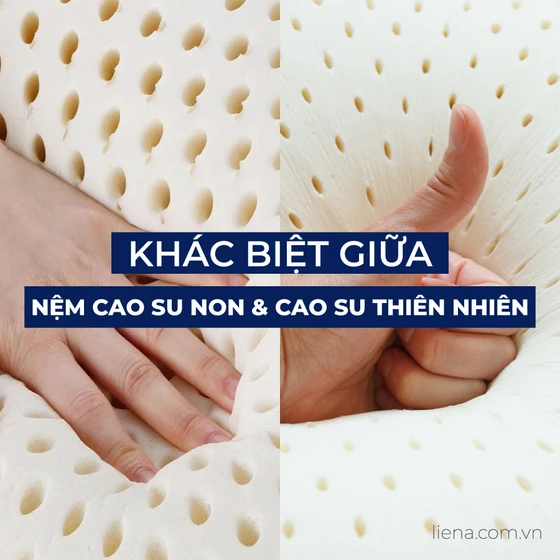 Nệm cao su non không phải cao su thiên nhiên, bạn có biết? Nệm cao su non không phải cao su thiên nhiên, bạn có biết?