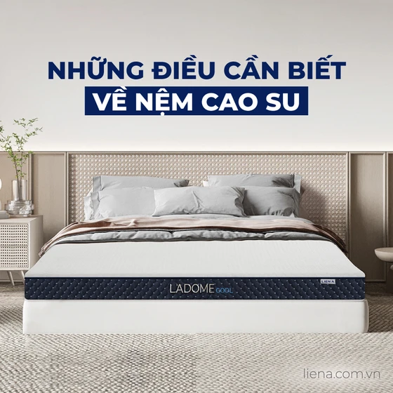 Top 8 loại nệm cao su tốt nhất hiện nay của Liên Á Top 8 loại nệm cao su tốt nhất hiện nay của Liên Á