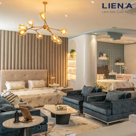 Hệ thống cửa hàng đại lý bán nệm Liên Á ở Bình Dương Hệ thống cửa hàng đại lý bán nệm Liên Á ở Bình Dương