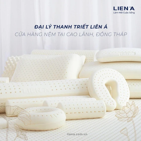 Hệ thống cửa hàng đại lý bán nệm Liên Á ở Cao Lãnh Đồng Tháp Hệ thống cửa hàng đại lý bán nệm Liên Á ở Cao Lãnh Đồng Tháp
