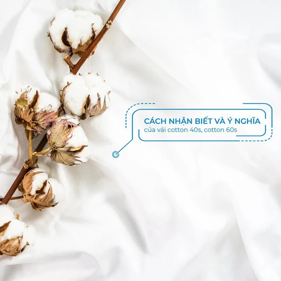 Cách Nhận Biết Và Ý Nghĩa Của Vải Cotton 40s, Cotton 60s Cách Nhận Biết Và Ý Nghĩa Của Vải Cotton 40s, Cotton 60s
