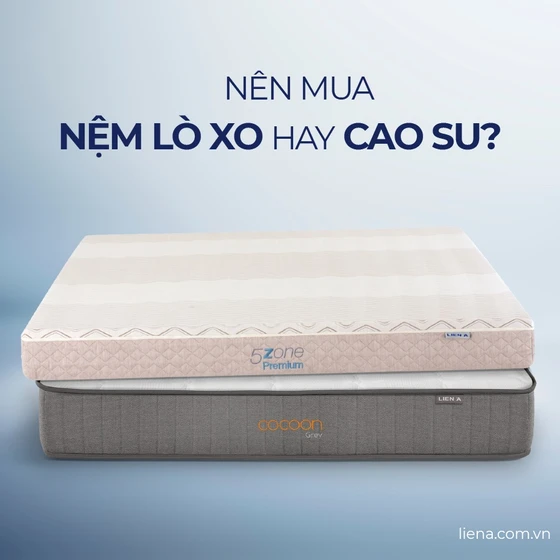 Nên mua nệm lò xo hay cao su? Tiêu chí so sánh từ chuyên gia