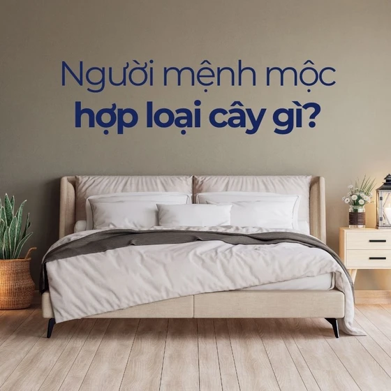 Mệnh Mộc hợp cây gì? Ý nghĩa cây phong thủy hợp mệnh Mộc
