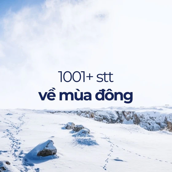 Tổng hợp 1001+ stt mùa đông, cap mùa đông sống ảo cực chất Tổng hợp 1001+ stt mùa đông, cap mùa đông sống ảo cực chất