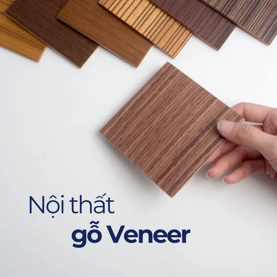 Gỗ veneer là gì? Ứng dụng gỗ veneer trong nội thất