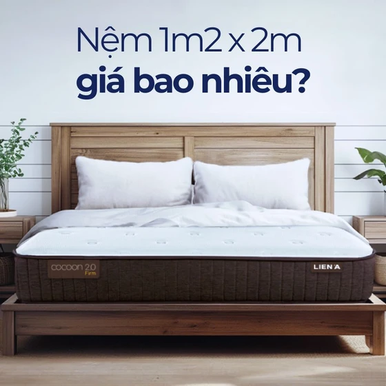 [Cập nhật 2025] Nệm 1m2 x 2m giá bao nhiêu?
