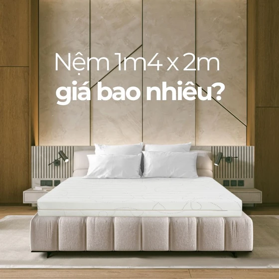 [Cập nhật 2025] Nệm 1m4 x 2m giá bao nhiêu?