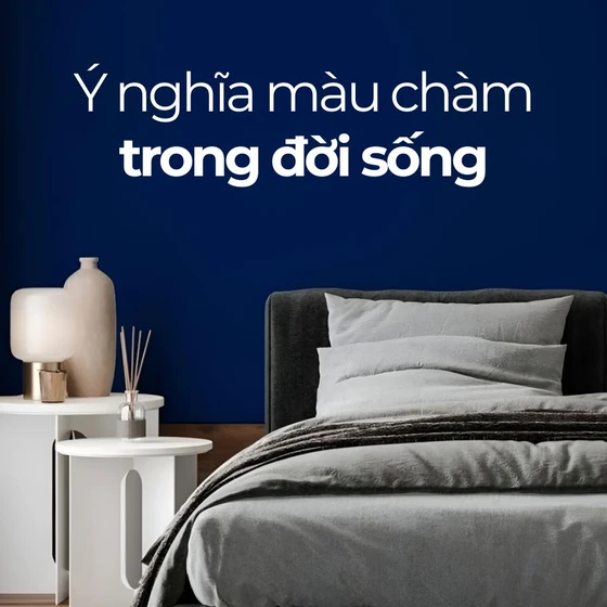 Màu chàm: Ý nghĩa đằng sau sắc màu truyền thống và hiện đại Màu chàm: Ý nghĩa đằng sau sắc màu truyền thống và hiện đại