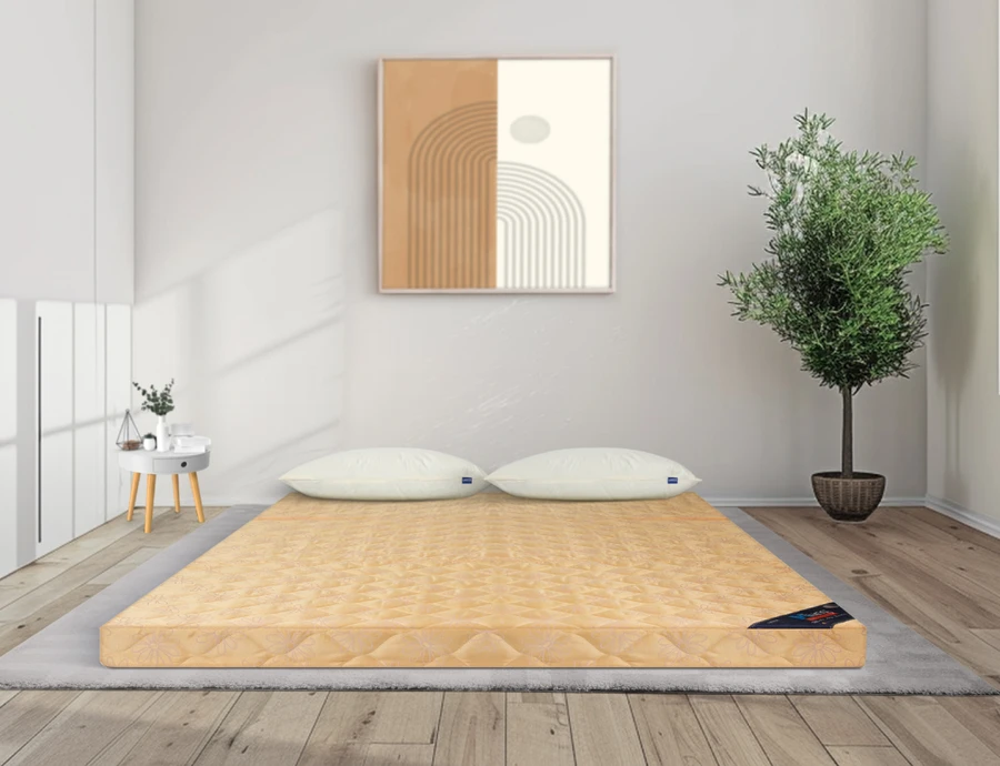 Nệm bông ép MLIVING Nệm bông ép MLIVING