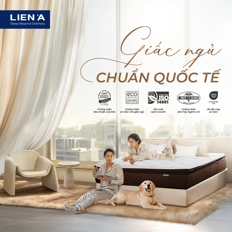 TRAO GIẤC NGỦ CHẤT LƯỢNG - GỬI TRỌN YÊU THƯƠNG