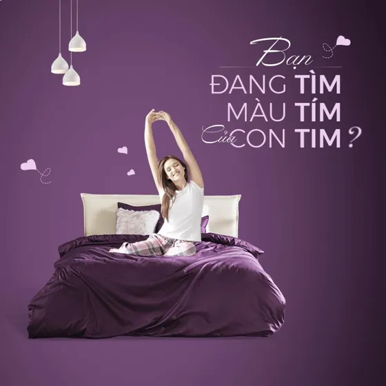TOP 4 BỘ CHĂN GA GỐI, DRAP MÀU TÍM