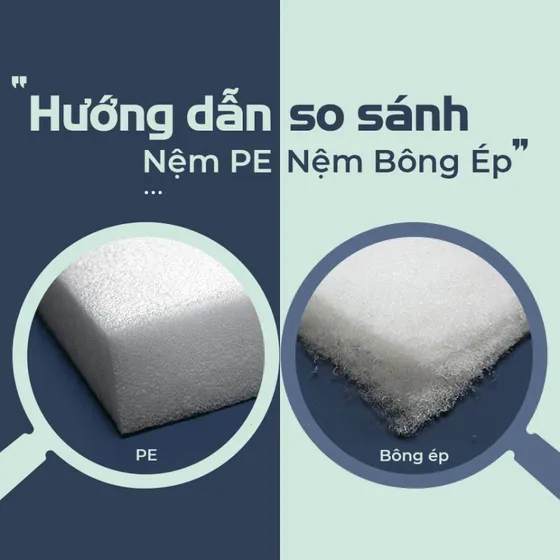 HƯỚNG DẪN SO SÁNH NỆM PE VÀ NỆM BÔNG ÉP