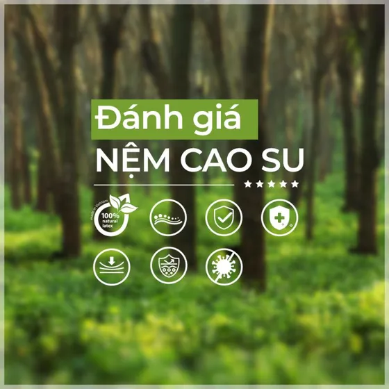 NHỮNG TIÊU CHÍ ĐÁNH GIÁ NỆM CAO SU CHẤT LƯỢNG