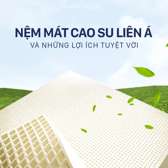NỆM MÁT CAO SU LIÊN Á VÀ NHỮNG LỢI ÍCH TUYỆT VỜI