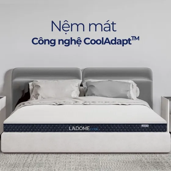 Các mẫu nệm mát mùa hè cho giấc ngủ thêm êm ái Các mẫu nệm mát mùa hè cho giấc ngủ thêm êm ái