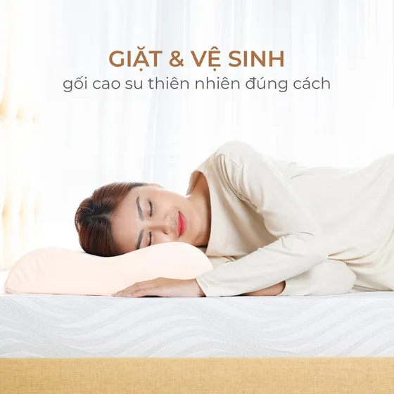 Giặt & Vệ Sinh Gối Cao Su Thiên Nhiên Đúng Cách