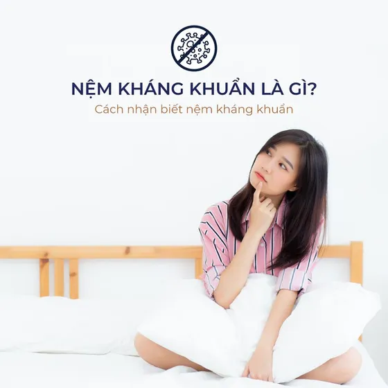 Nệm Kháng Khuẩn Là Gì? Cách Nhận Biết Nệm Kháng Khuẩn Nệm Kháng Khuẩn Là Gì? Cách Nhận Biết Nệm Kháng Khuẩn