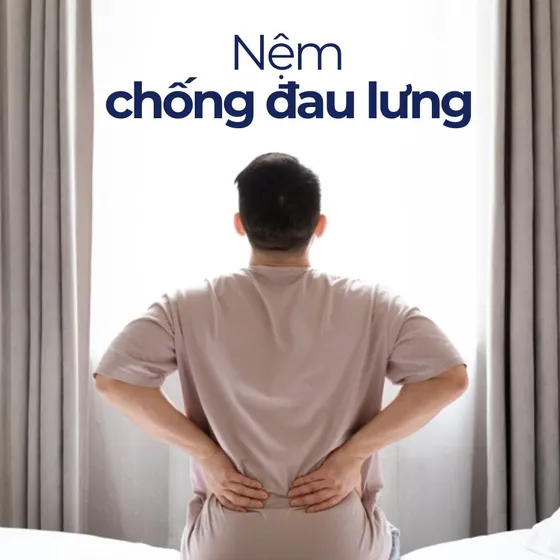 Những tiêu chí chọn nệm cho người đau lưng mà bạn cần biết
