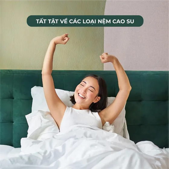 Tất Tần Tật Về Các Loại Nệm Cao Su Tất Tần Tật Về Các Loại Nệm Cao Su