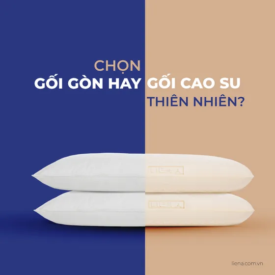 Gối Gòn Và Gối Cao Su - Lựa Chọn Nào Tốt Cho Giấc Ngủ Của Bạn?