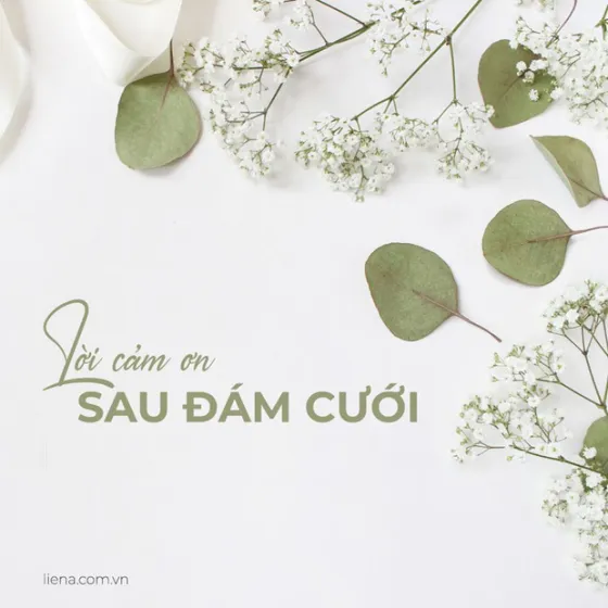 Tuyển Tập Những Lời Cảm Ơn Sau Đám Cưới Hay Và Ý Nghĩa