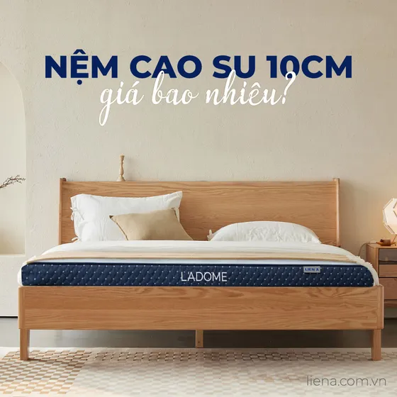 [Cập nhật 2025] Nệm cao su 10cm giá bao nhiêu?