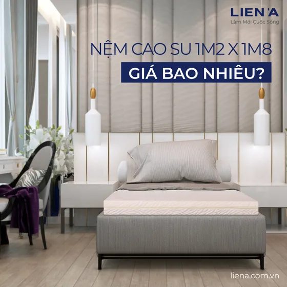 [Cập nhật 2025] Nệm cao su 1m2 x 1m8 giá bao nhiêu?