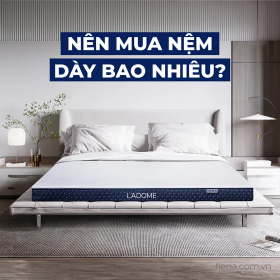[Hỏi đáp] Nên mua nệm dày bao nhiêu thì hợp lý?