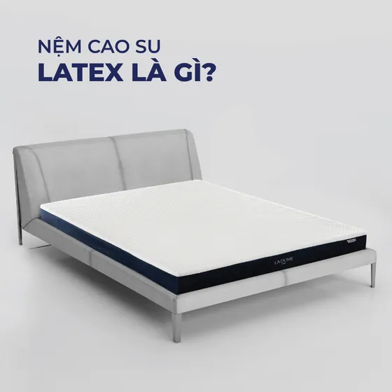 Latex là gì? Nệm cao su latex có tốt cho sức khỏe không?