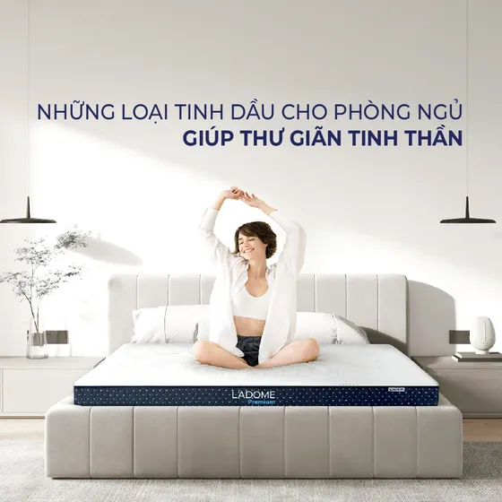 Top 10 tinh dầu thơm cho phòng ngủ giúp thư giãn tinh thần Top 10 tinh dầu thơm cho phòng ngủ giúp thư giãn tinh thần